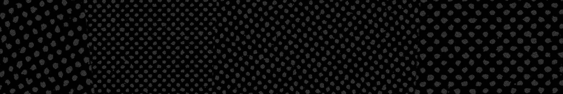 Alamo Drafthouse Cinema