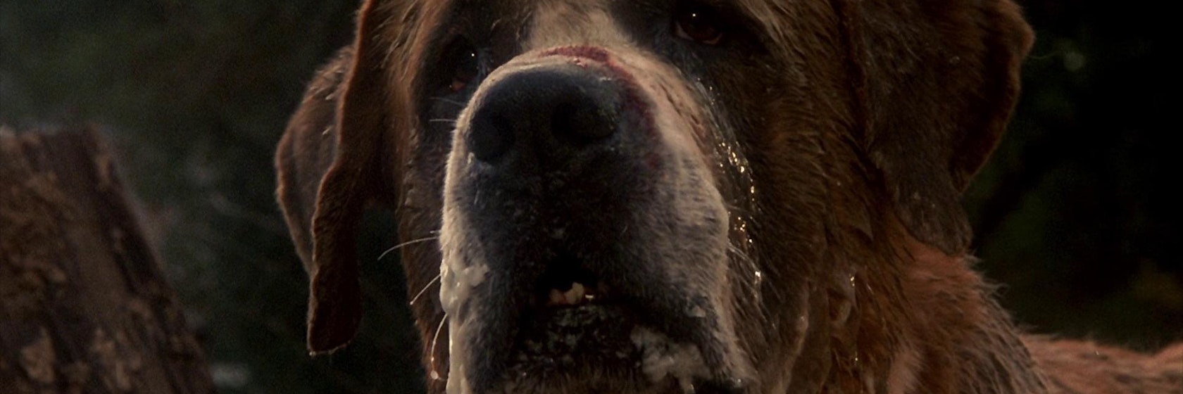 Cujo | Alamo Drafthouse Cinema
