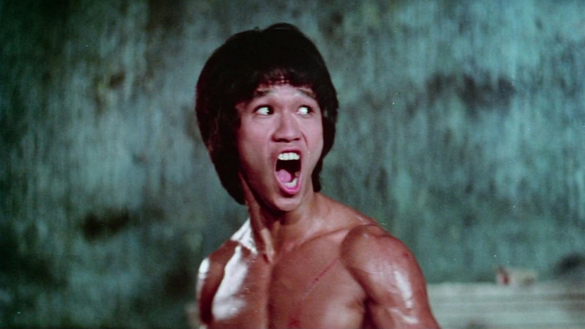 [Image: ENTER-THE-CLONES-OF-BRUCE_hero.jpg?ixlib...&ar=16%3A9]