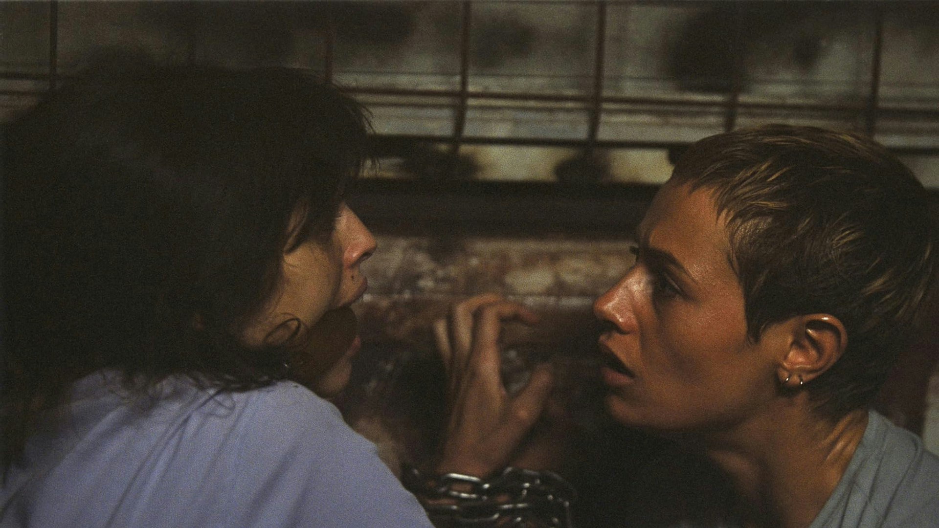 сесиль де франс кровавая жатва. сесиль де франс кровавая жатва. книга жертвоприношение шэрон болтон. шэрон болтон книги. сесиль де франс кровавая жатва 2003.