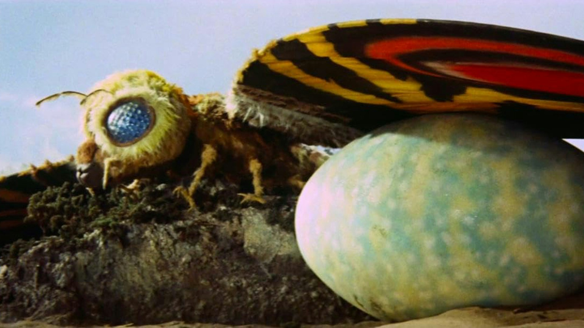Mothra vs. Godzilla