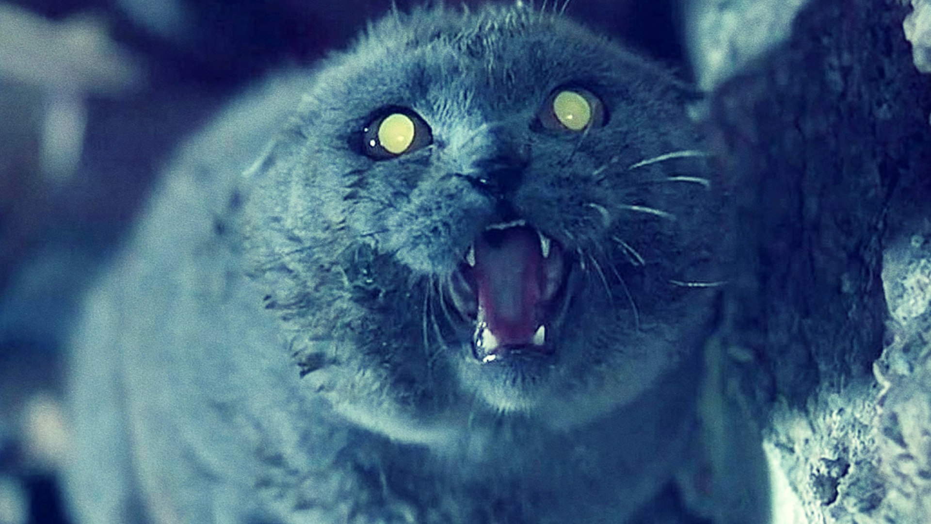 Pet Sematary (1989) Alamo Drafthouse Cinema