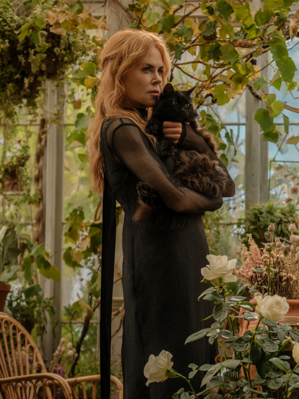 Practical Magic 2
