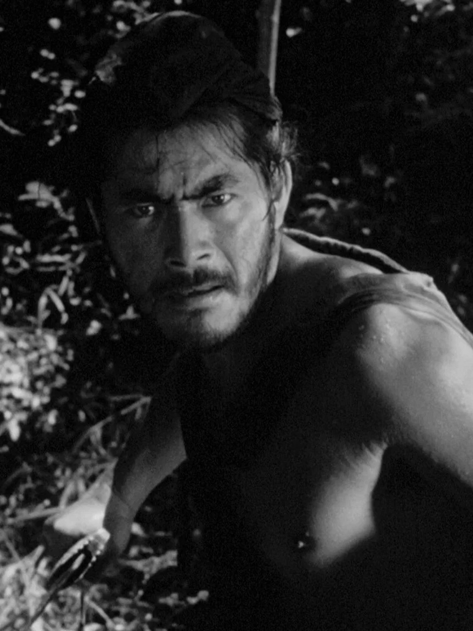 Rashomon