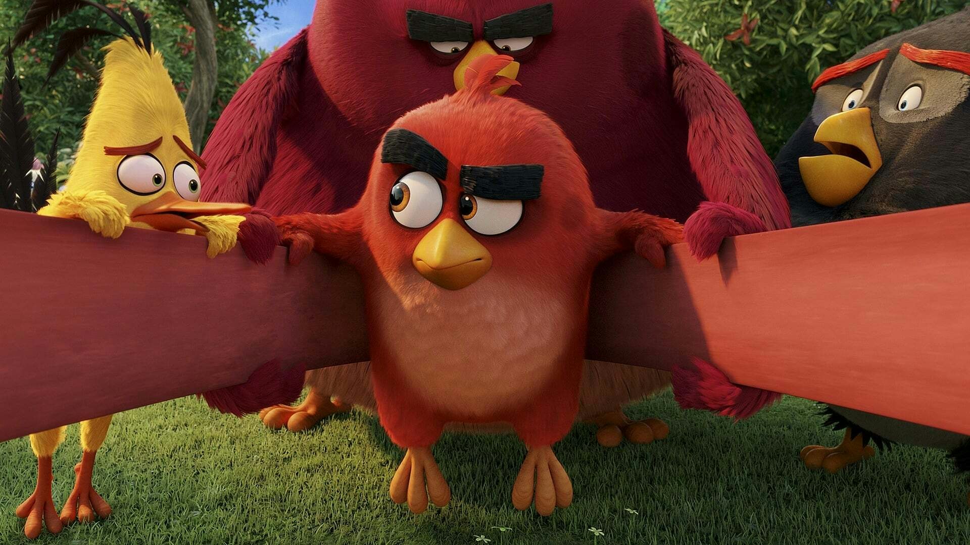 Angry Q Kids Camp The Angry Birds Movie | Alamo Drafthouse Cinema