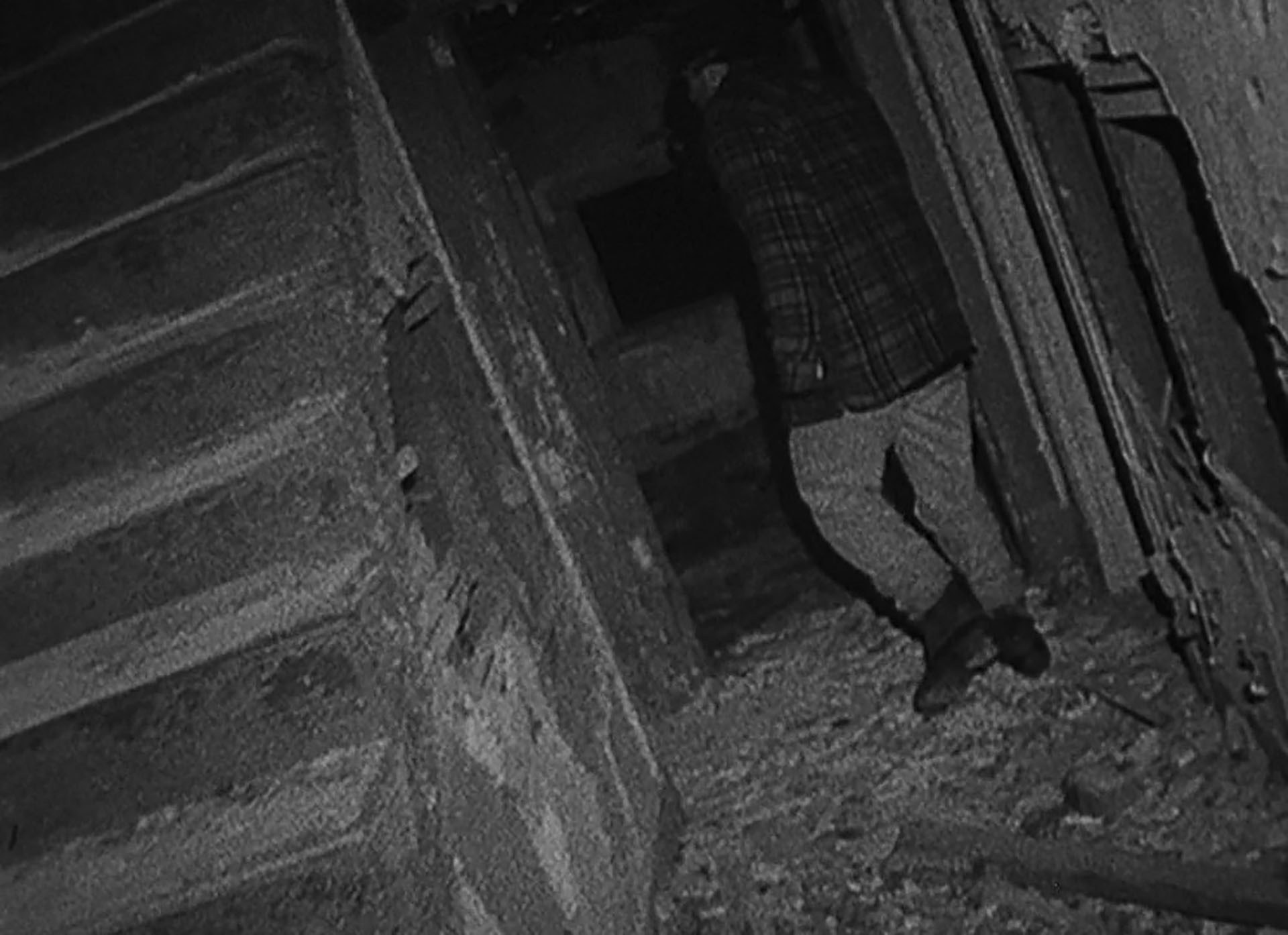 The Blair Witch Project Alamo Drafthouse Cinema