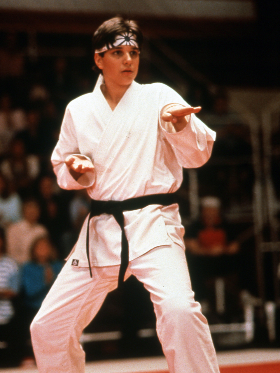 The Karate Kid (1984)