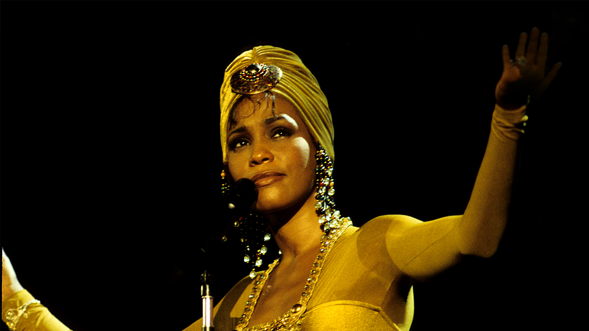 Whitney Houston The Concert for a New South Africa (Durban) Alamo